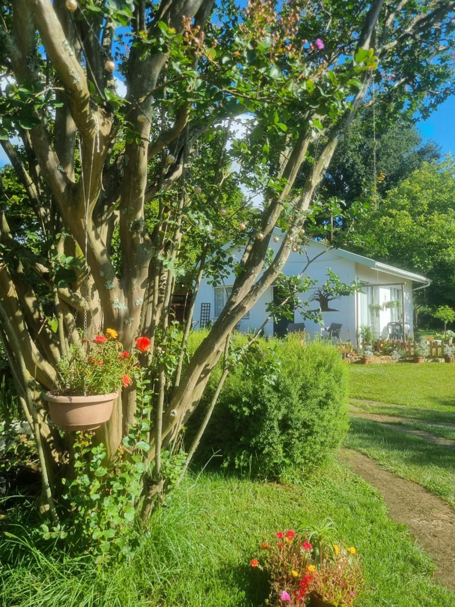The Cottage On The Corner Himeville Bagian luar foto